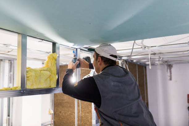 Best Insulation Contractors for Homes  in Pasatiempo, CA