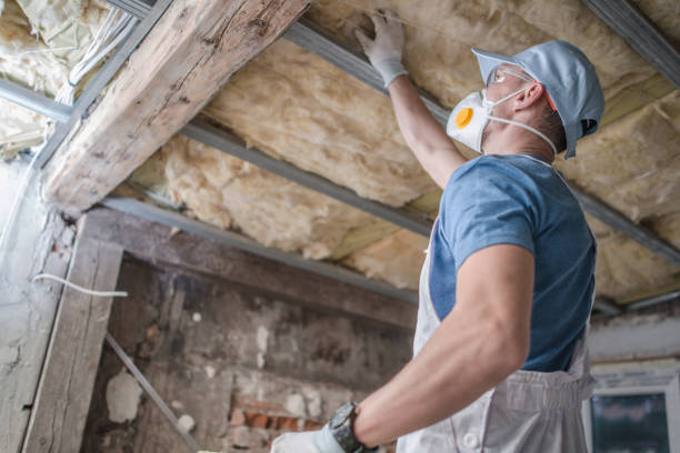 Insulation Replacement Services in Pasatiempo, CA